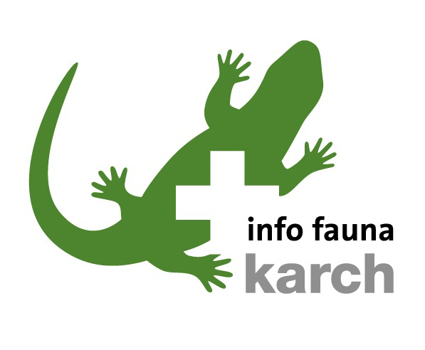 karch logo infofauna